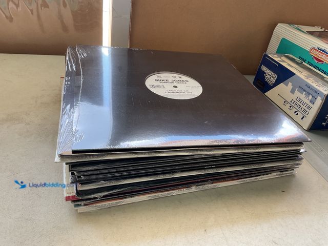 Lot 49-5515500 - Other LOT OF 20 FACTORY SEALED VINYL RECORDS VARIOUS YEARS AND TITLES INCLUDING MIKE JONES, POTZEE, ...