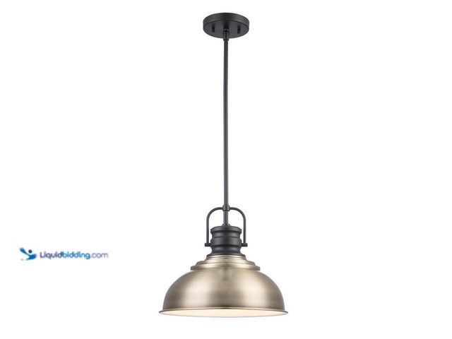 Lot 49-5409052 - Home Decorators Collection
Shelston 13 in. 1-Light Antique Gold and Black Farmhouse Pendant Light F...