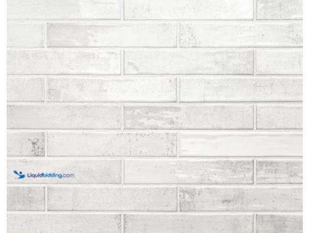 Lot 49-1622820 - Approx. (5) Sq. Ft. of MSI Camden La Perla Subway Tile 2 in. x 10 in., Glossy Ceramic Wall Tile (5.1...