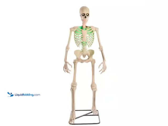 Lot 49-1549428 - Home Accents Holiday 6.5 ft. Grave & Bones Animated LED App Controlled Ultra Skelly with Life Eyes L...