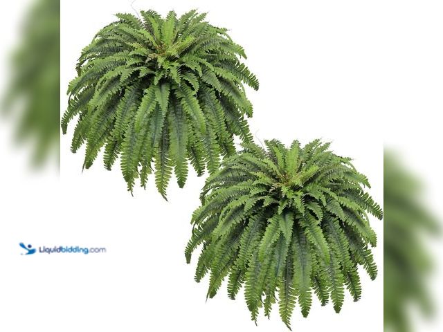 Lot 49-5549712 - 50" Fake Ferns Artificial Plants Large, 98 Fronds 2 Artificial Ferns for Outdoors and Indoors, Suita...