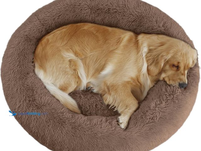 Lot 49-5437955 - 39'' inch Calming Dog Bed, Plush Anti-Anxiety Donut Dog Bed for Medium Large Dogs, Warming Cozy Soft...