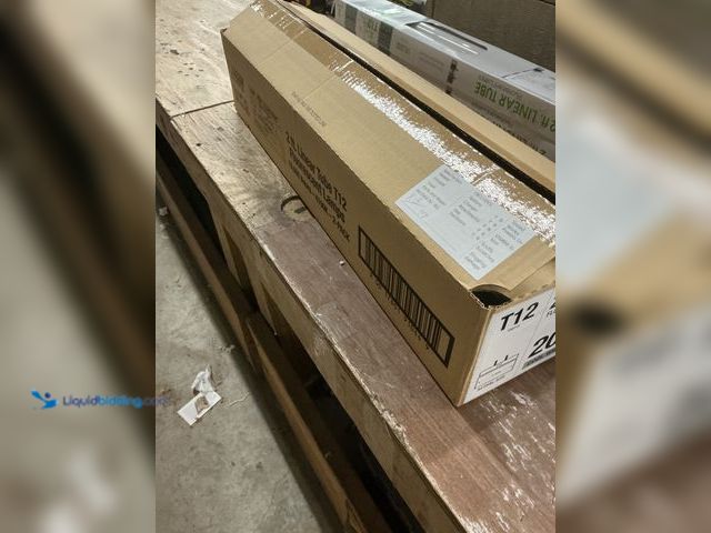 Lot 49-5484889 - Feit Electric Light Bulb (6pack) New