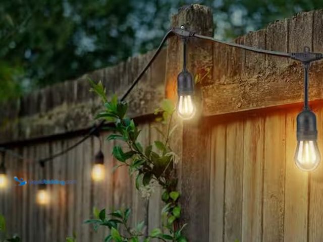 Lot 49-3639371 - Hampton Bay 24-Light 48 Ft. Indoor/Outdoor Plug-In Filament LED S14 Edison Bulb String-Light, Model:...