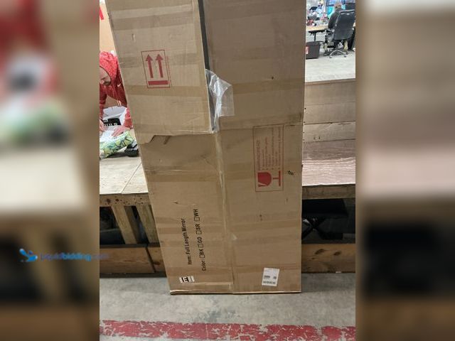 Lot 49-5487177 - Full Length Mirror 77" x 33" Unused