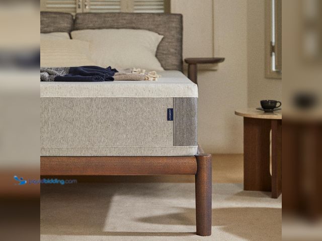 Lot 49-5452181 - LIFEMENT, Essential 6 Inch Graphite Infused Memory Foam Mattress, Medium Firm, Fiberglass Free, Pres...