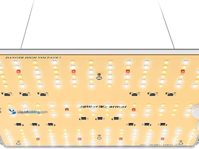 Lot 49-5476568 - Spider Farmer 2025 SF1000D LED Grow Lights with Samsung LM301B Diodes Full Spectrum Grow Light for I...