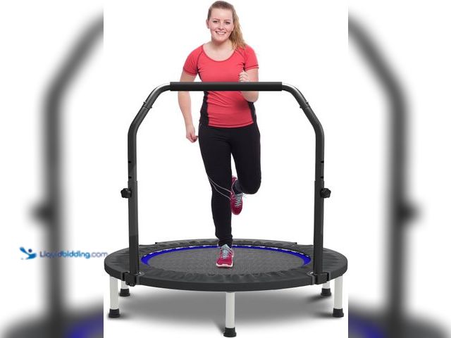 Lot 49-5463348 - HYD-Parts 40" 48" Mini Trampoline for Adults and Kids Exercise Rebounder with Adjustable Bar Fitness...