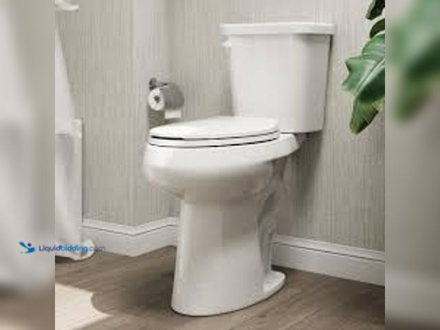 Lot 49-5415184 - 21 in. Extra Tall 2-Piece High-Efficiency 1.28 GPF Single Flush Elongated Toilet Map Flush 1000g Sea...