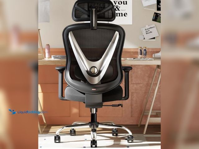 Lot 49-2026405 - HOLLUDLE Ergonomic Mesh Office Chair, V Back Desk Chair with 2D Headrest. Model # B0DGTBNFRP. MSRP: ...