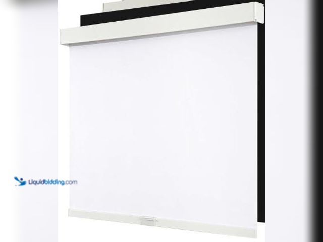 Lot 49-3523421 - Cordless Blackout Roller Shades Blinds for Windows Free-Stop,Pull Down Room Darkening with Valance,T...