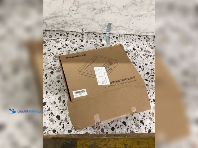 Lot 49-3527879 - Pineworld Biometric Safe for Nightstand Car, Home Item is used, has key.