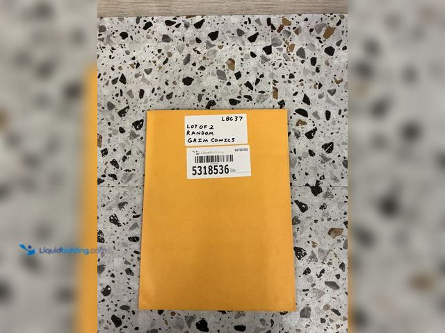 Lot 49-5489300 - Lot of 2 Random Grim Comics. Unused.