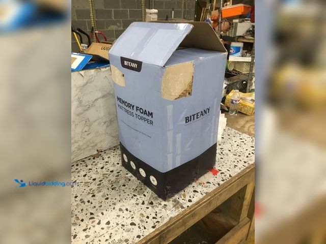 Lot 49-5478754 - Biteany Memory Foam Mattress Topper Item is Factory Sealed