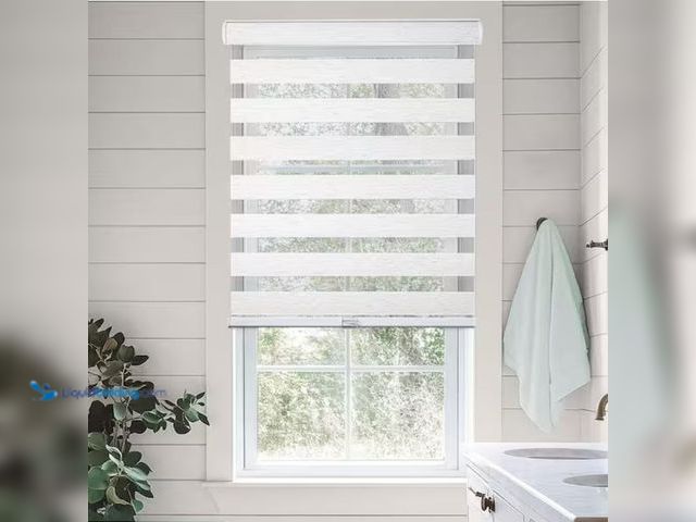 Lot 49-2005466 - Chicology Cordless Light Filtering Dual Layer Polyester Zebra Roller Window Shade, Basic Natural 57 ...