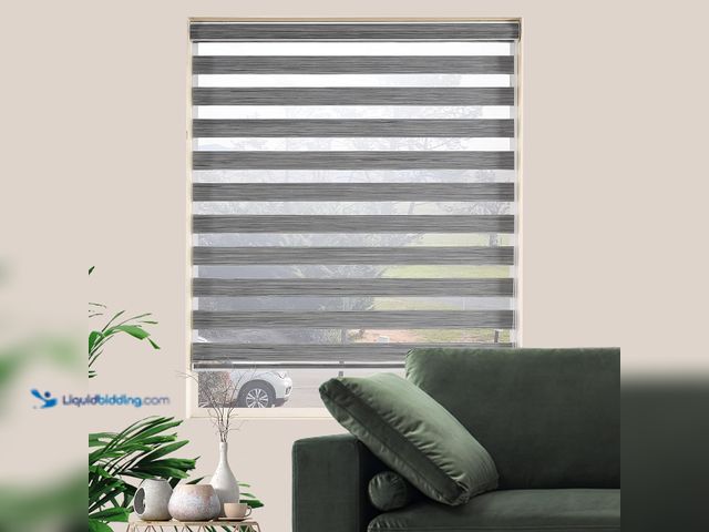 Lot 49-5435601 - Zebra Blinds for Windows, Free-Stop Zebra Shades, Dual Layer Light Filtering Sheer Blinds for Indoor...