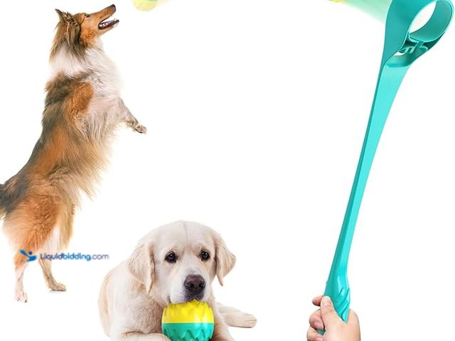 Lot 49-1572167 - Lot of (5) petour Dog Ball Thrower Launcher Interactive Dog Toy with Vocal Cue Ball Includes 6.2CM(2...