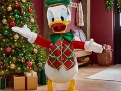 Lot 49-3528454 - undefined