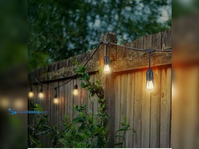 Lot 49-1624681 - Hampton Bay 24-Light 48 ft. Indoor/Outdoor Plug-In Filament LED S14 Edison Bulb String-Light Model #...