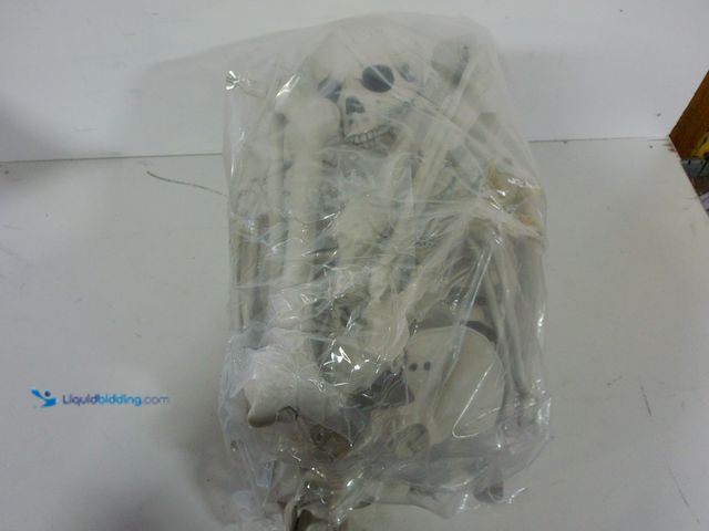 Lot 49-3472729 - Set of 2 Fake 5.9ft Plastic Posable Skeleton Decorations, Unused  Ref#CRS1126