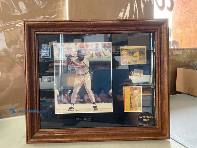 Lot 49-5467359 - Other AMAZING 19X16 BEAUTIFULLY FRAMED AND PROFESSIONALLY MATTED CECIL FIELDER DETROIT TIGERS PHOTO,...
