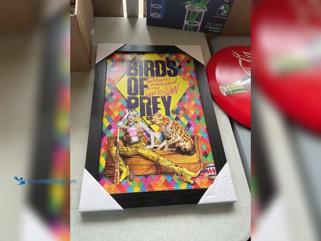 Lot 49-1977472 - Other BRAND NEW WOOD FRAME COMIC PRINT BIRDS OF PREY HARLEY QUINN MEASURES APPROXIMATELY 13 INCH BY ...