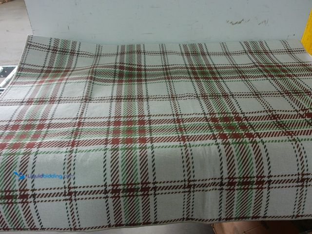 Lot 49-1576837 - 4ft x 6ft Tan and Burgundy Striped Indoor Low Pile Area Rug, Slightly Used  Ref#CRS0209