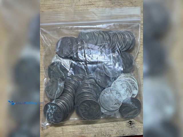 Lot 49-1910296 - Bag of Buffalo Nickels