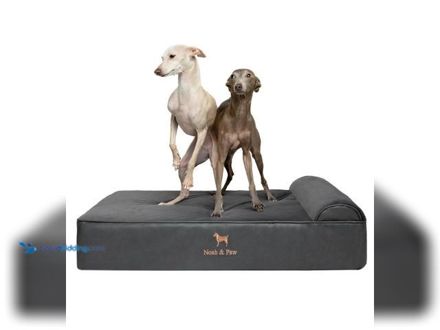 Lot 49-1577246 - NOAH & PAW Large Dog Bed, 35x25x8.7 Inch, Orthopedic Dog Beds, Eggshell Memory Foam Infused with Coo...