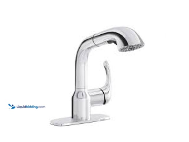 Lot 49-5459377 - Glacier Bay Dunning Single-Handle Pull-Out Laundry Utility Faucet with Dual Spray Function in Chrome...