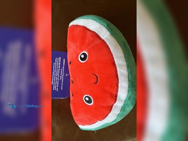 Lot 49-1519070 - (24) Joyhound Crazy Comfy Watermelon dog toy, Model# B0D9L1CW69, New.  Ref#MTMED0624