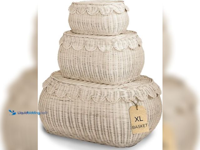 Lot 49-5447573 - BEBE BASK Large Scalloped Basket Set Of 3 - Hand-Woven & Award-Winning Scallop Basket - XL - Extra L...