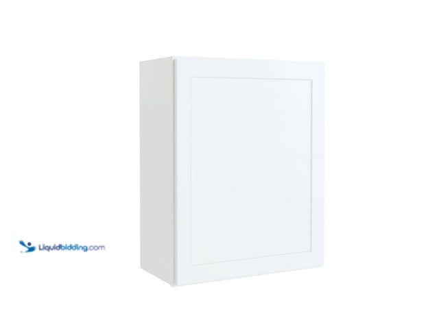Lot 49-5414731 - Courtland 24 in. W x 12 in. D x 30 in. H Assembled Shaker Wall Kitchen Cabinet in Polar White Model ...