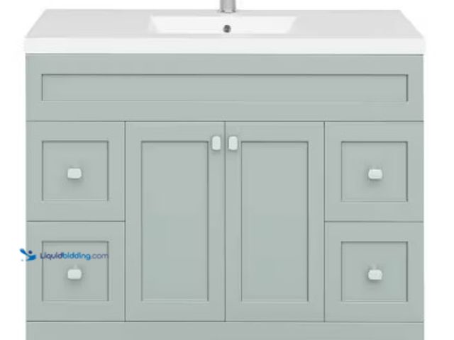 Lot 49-5441767 - Daisy 48 in. W x 21 in. D x 36.5 in. H S/Sink Free Standing Bath Vanity in Sage. (see photos) Unused...