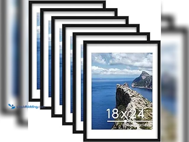 Lot 49-5407771 - PEALSN 18x24 Poster Frame Set of 6, Display Pictures 16 x 20 with Mat or 18 x 24 Without Mat for Wal...