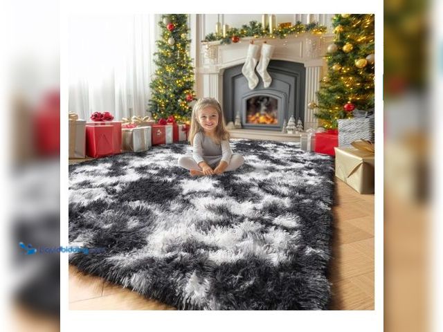 Lot 49-1577257 - Amdrebio Black White Grey Cool Area Rugs for Bedroom Living Room, Fluffy Modern Furry Rugs for Kids ...
