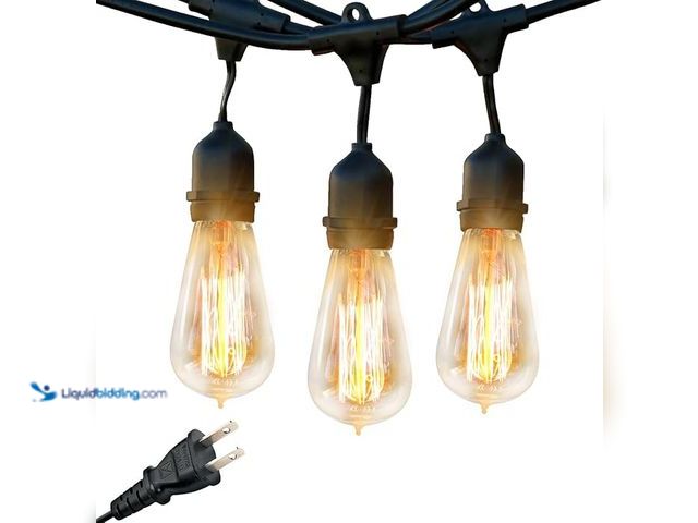 Lot 49-5414626 - 24-Light 48 ft. Plug-in Indoor/Outdoor Edison Patio String Light with S14 Single Filament LED Bulbs ...