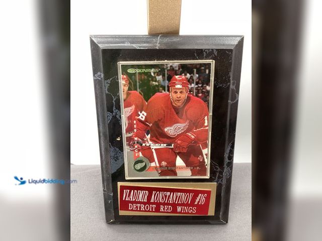 Lot 49-910656 - Other Framed Donruss Trading Card - Vladimir Konstantinov #16 Detroit Red Wings
COINS0723