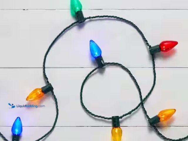 Lot 49-1547240 - (2) Home Accents Holiday 25 Multi-Colored Steady Lit Super Bright C9 LED String Lights, Model # TY41...