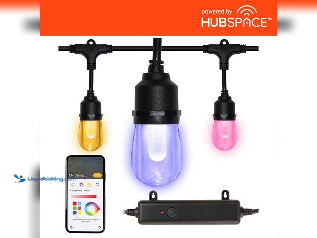 Lot 49-5409072 - Hampton Bay
Indoor/Outdoor 12-Light 24 ft. Smart Plug-in Edison Bulb RGBW Color Changing LED String...