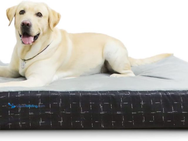 Lot 49-3515254 - Laifug Orthopedic Memory Foam Extra Large Dog Bed with Pillow and Durable Water Proof Liner & Remova...