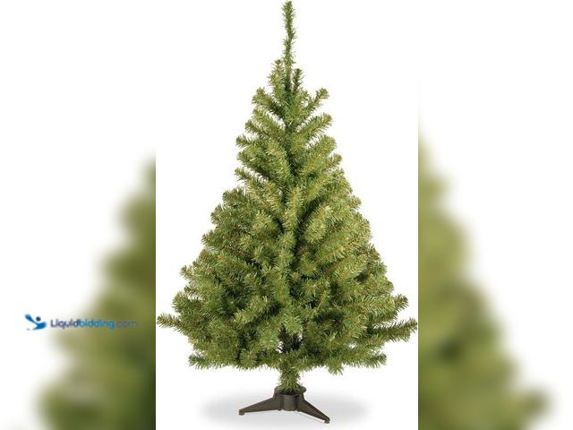 Lot 49-5462037 - National Tree Company 3 ft Unlit Kincaid Spruce Mini Artificial Christmas Tree, 113 Tips, Includes S...