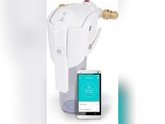 Lot 49-3519431 - undefined