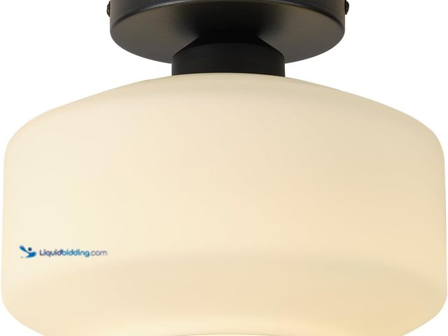 Lot 49-5477777 - TeHenoo Milk White Glass Ceiling Light Fixture,8.6 inch, Matte Black Base,Modern Semi Flush Mount Li...