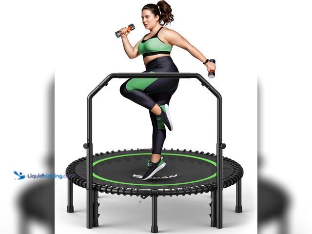 Lot 49-5545011 - BCAN BT2 450/550LBS Mini Rebounder Trampoline for Adults with Bar, Fitness Trampoline with Bungees, ...