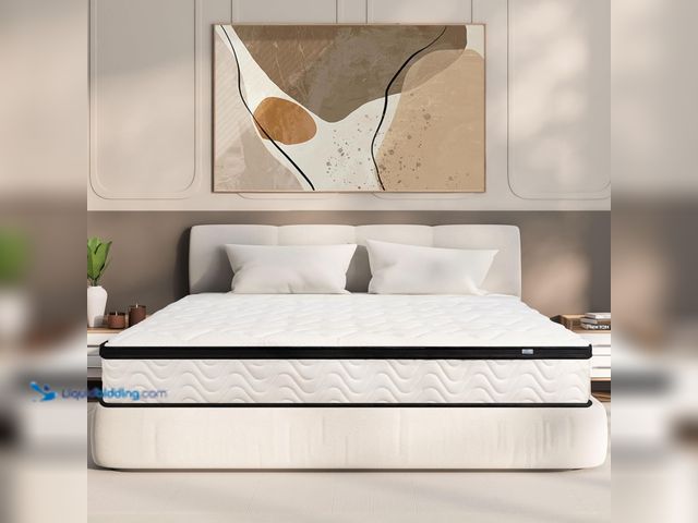 Lot 49-5463804 - Queen Mattress 10 Inch | Queen Size Hybrid Mattresses in a Box | Medium Firm Feel Memory Foam and In...