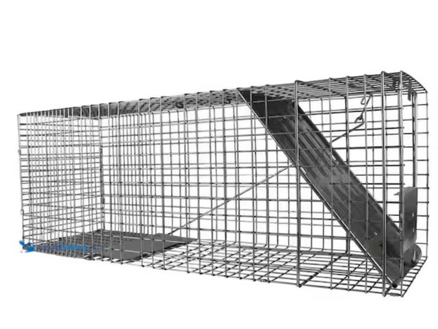 Lot 49-3614573 - Havahart Large 1-Door Professional Live Animal Cage Trap for Raccoon, Opossum, Groundhog, and Feral ...