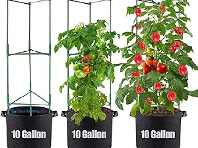 Lot 49-5415169 - Tomato Cages with Grow Bags - 50 Inches Tomato Trellis for Raised Garden Bed, 3-Pack Tomato Plant Su...