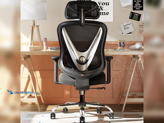 Lot 49-5553622 - HOLLUDLE Ergonomic Mesh Office Chair - 3D Adjustable Lumbar Support & 3D Armrests, V-Shaped Back, Ad...