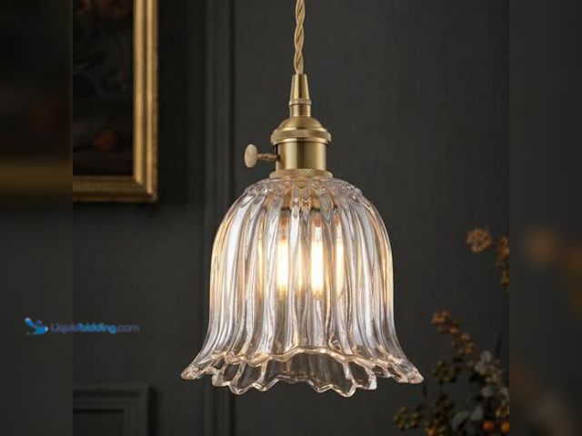 Lot 49-5581499 - Predosola 40-Watt 1-Light Vintage Brass Pendant Light Island Adjustable Hanging Light with Clear Flo...